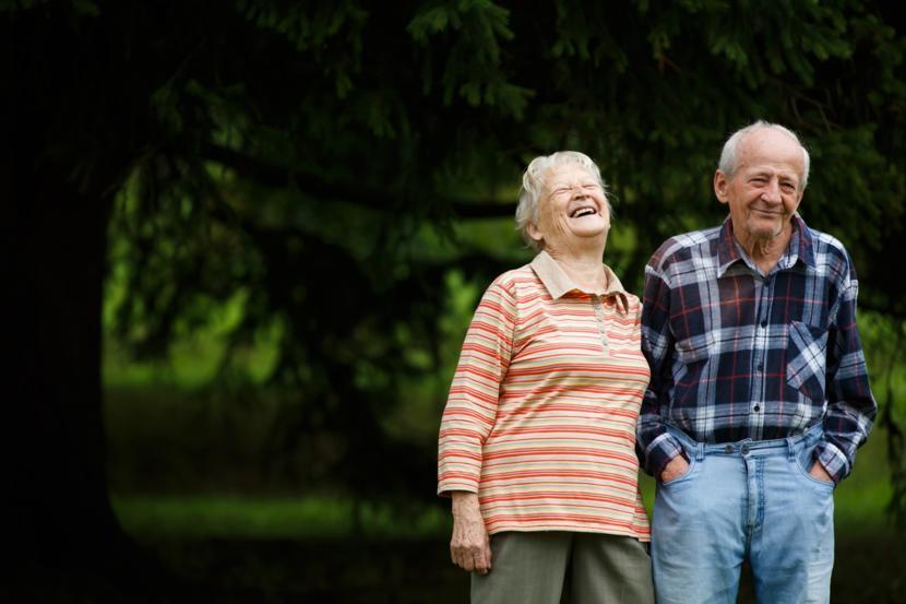 What is the Difference Between Dementia and Alzheimer’s Disease?