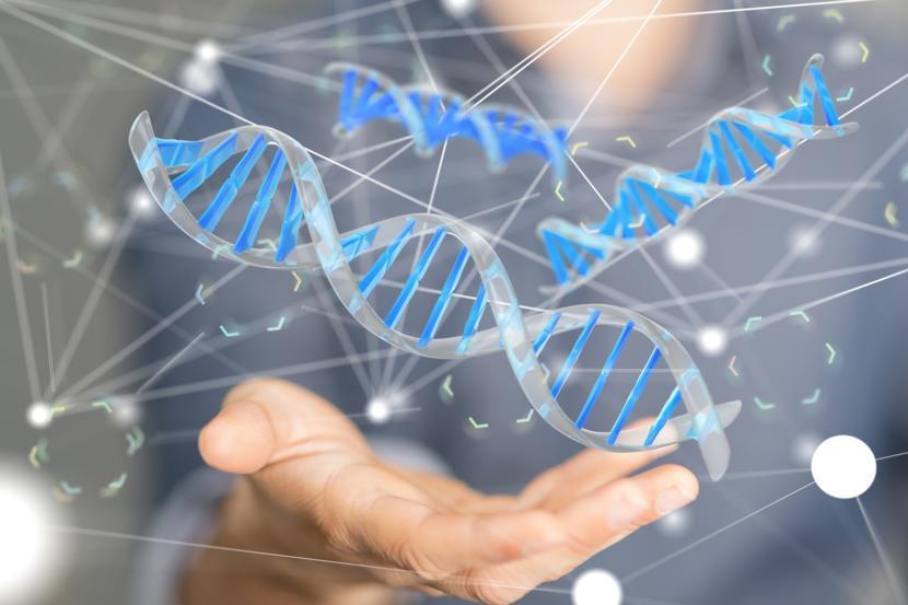 How Retaining One Normal BRCA Gene Influences Survival in Ovarian Cancer Patients