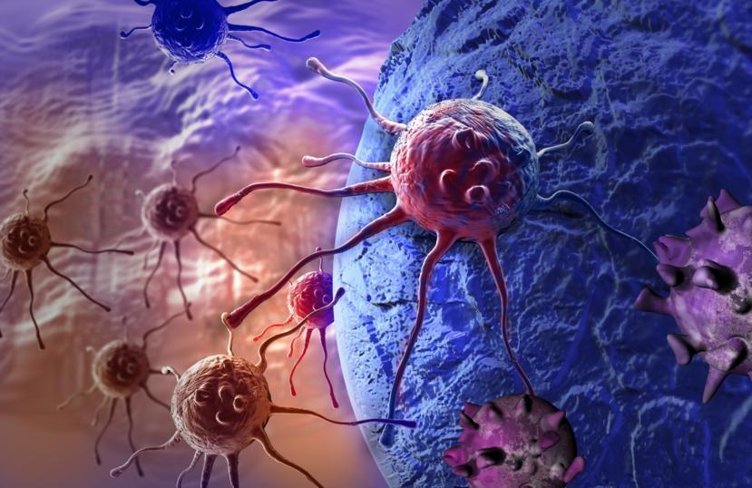 New Explanation for How Ovarian Cancer Spreads