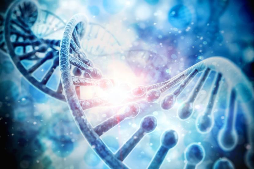 Researches Discover Clues as to Why Exactly BRCA Mutations Can Cause Cancer