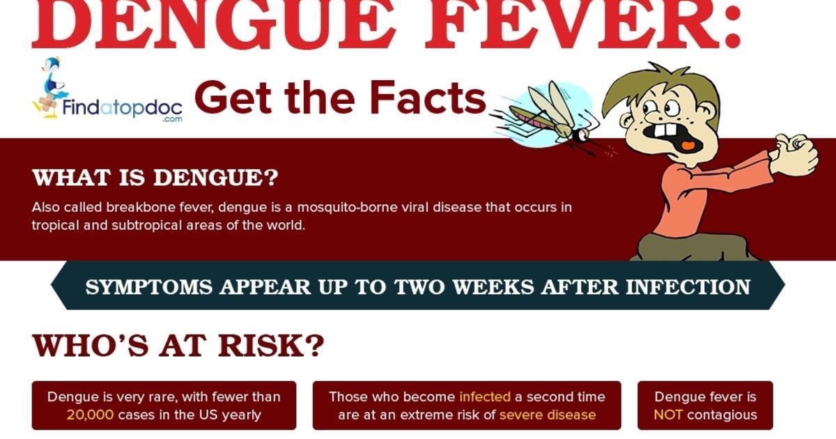 What is Dengue Fever? Facts about Dengue Fever [Infographic]