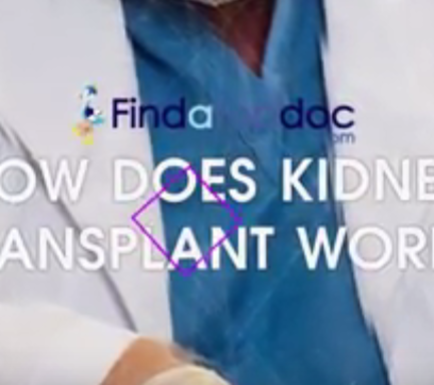 How Does a Kidney Transplant Work?