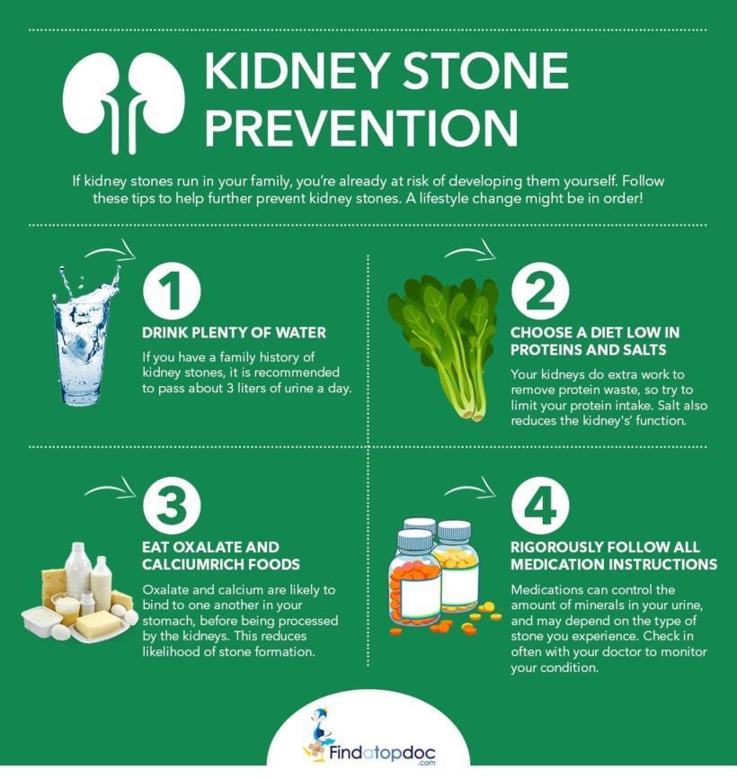 How To Prevent Kidney Stones Infographic 