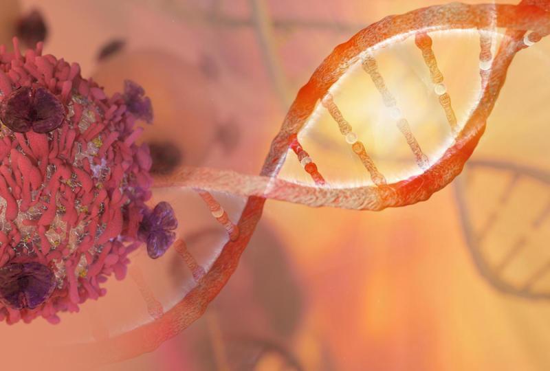 Which Hodgkin Lymphoma Survivors Are at Risk of Second Cancers?