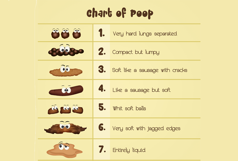 Learn even more about your poop with the Bristol Stool Scale | FindATopDoc