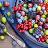 Can Berries Prevent Memory Loss?