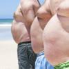 Overweight? Don't Blame the Fructose