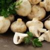 The Anti-Aging Properties of Mushrooms May Help Parkinson's and Alzheimer's Patients