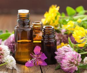 Cilantro contains essential oils
