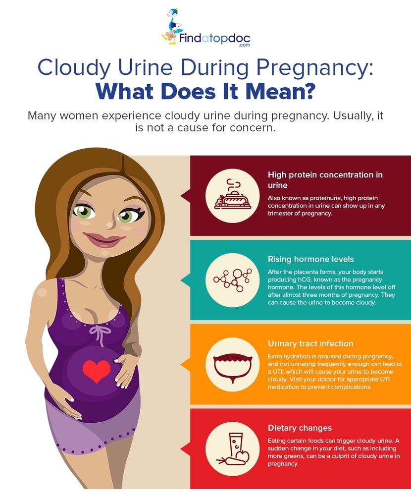 What are some causes of cloudy urine?