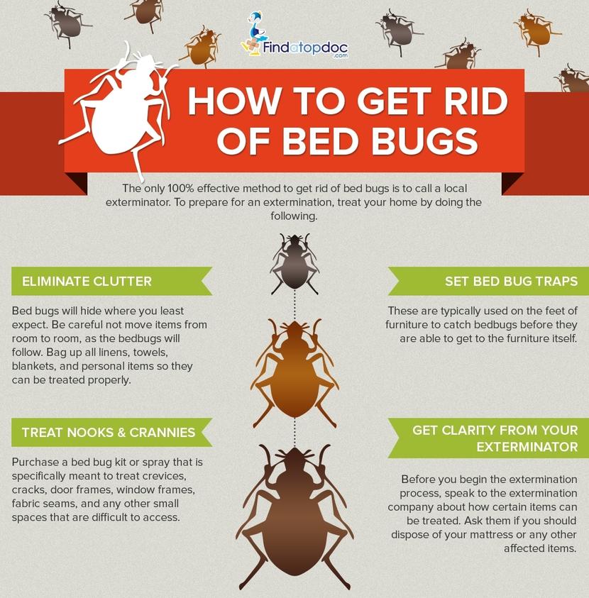 How to Get Rid of Bedbugs Fast