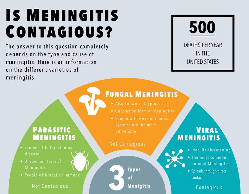 Is Meningitis Contagious How Long Can Meningitis Be Contagious